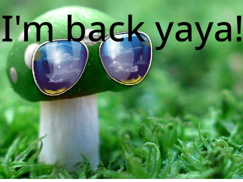 I'm back (again)
