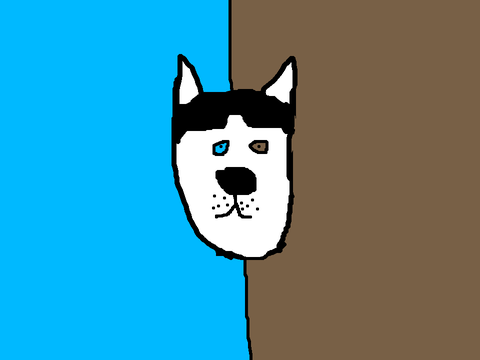 Husky for Purplecow2020