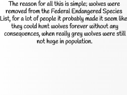 Wolf Populations In Wisconsin