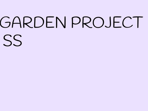 School Project (SS)