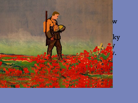 In Flanders Fields