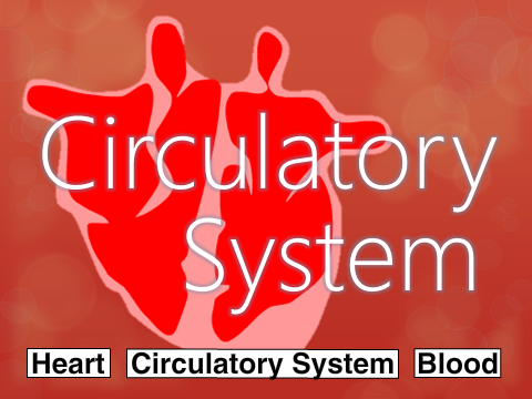 Biology - Circulatory System