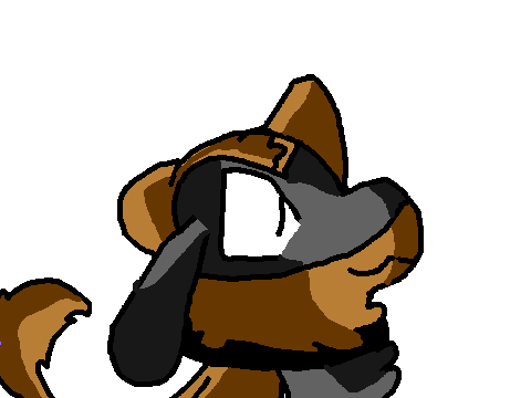 Mei the Riolu