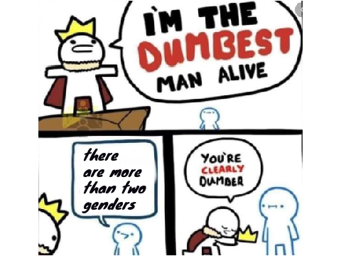 The Dumbest Man Alive remix