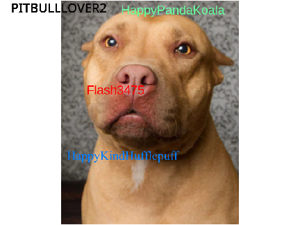Remix and sign if you are against embedded dog and cat collars. remix remix remix remix