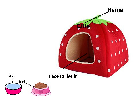 Example home