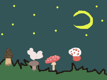 Foraging for shrooms