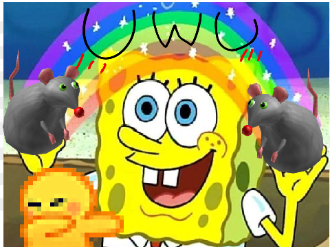 rat :DDDD