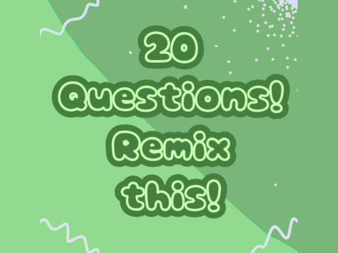 20 Questions, Remix This!