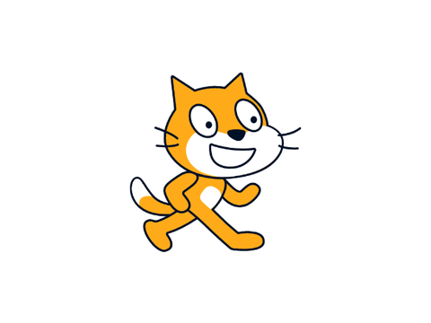 Chat with cat 
