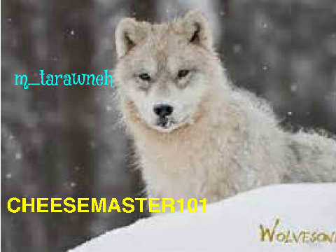 SIGN IF YOU ARE AGAINST ANIMAL HUNTING!