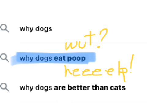 I- what- HELP