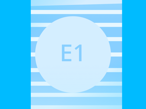 E1
