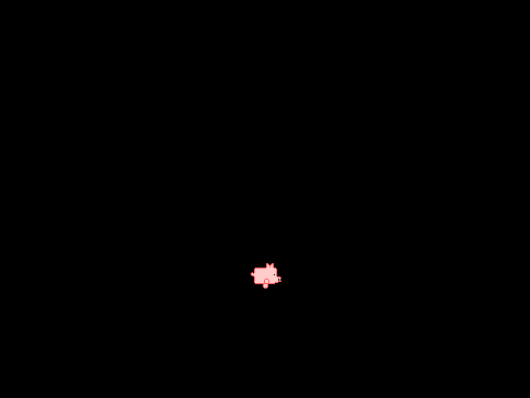 pig in a cave