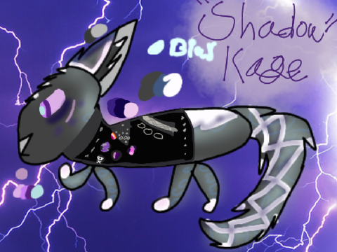 Kage "Shadow" Raitoningu Reference (Round 6)