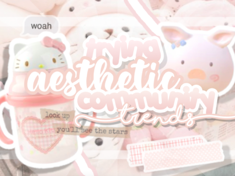 ◌ trying aesthetic comm. trends ꒱