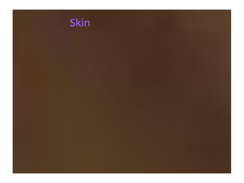 Skin and hair color reveal bc I don’t wanna do a face reveal 