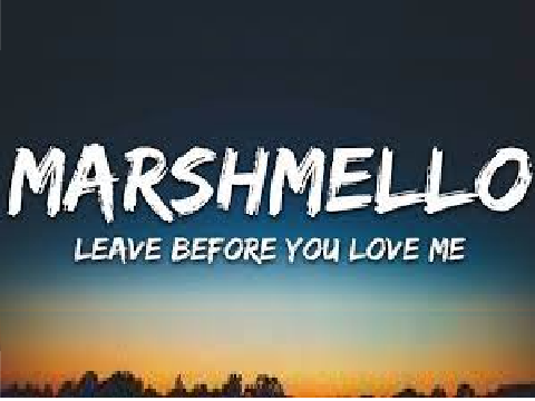 Leave Before You Love Me