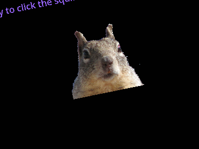 Squirrel Be Like...