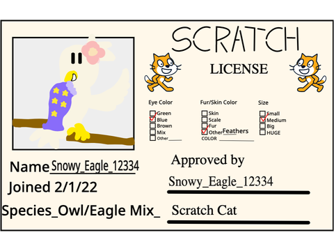 My Scratch License
