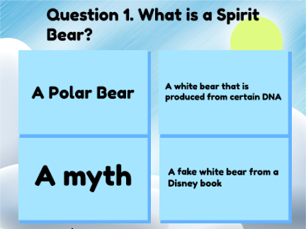 What do you know about Spirit Bears? || Trivia game for school