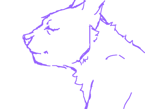 ~Wip~
