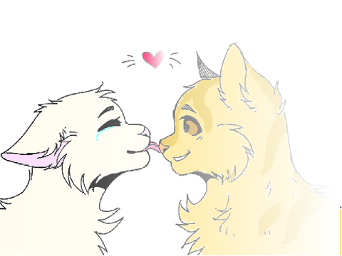 What couple are they?