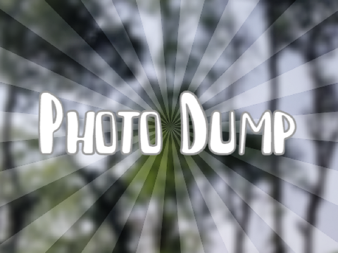 ⭒ Photo dump ⭒