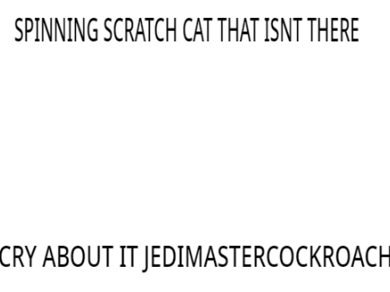 SPINNING SCRATCH CAT THAT ISN'T THERE