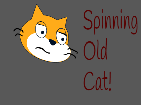 SPINNING OLD CAT