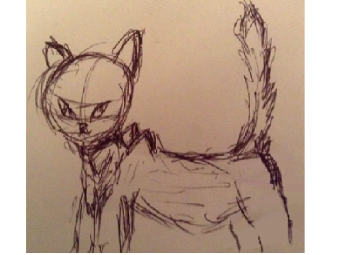Cat Sketch: just for fun 