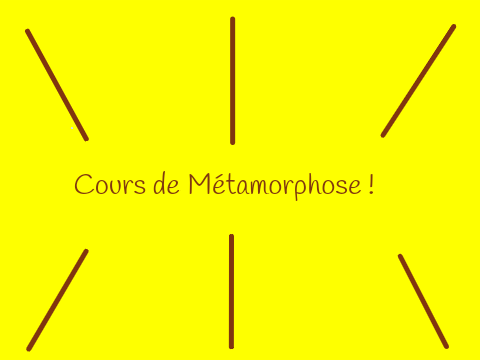 Cours de Methamorphose n°1 : Les Animagus ❇✨