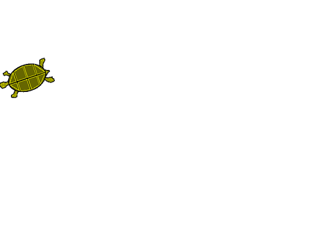03_Tortux