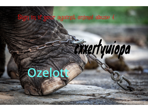 Sign in if your against animal abuse