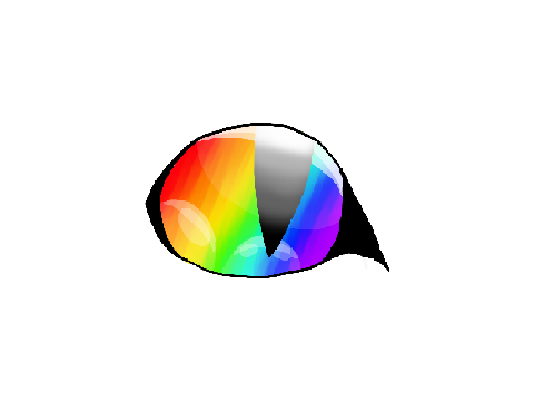 Behold