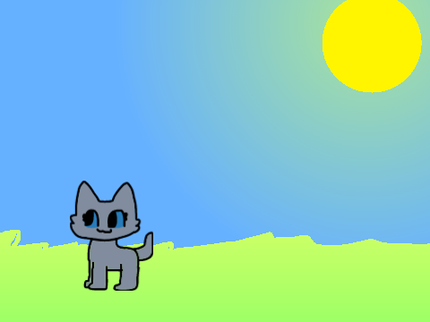 player test