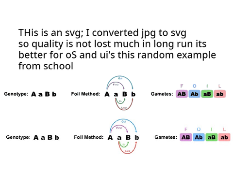 JPG to SVG example