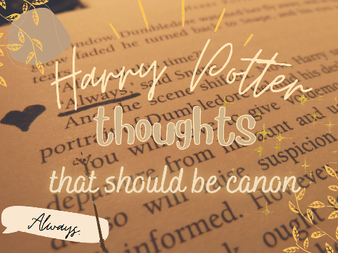 harry potter thoughts that should be canon ✨