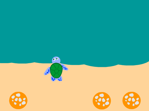 Green Sea Turtle Adoption