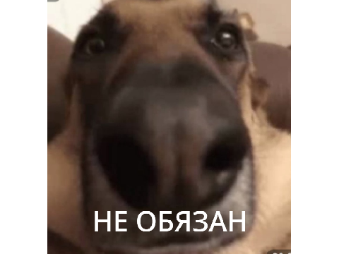 0_о(мем 1)