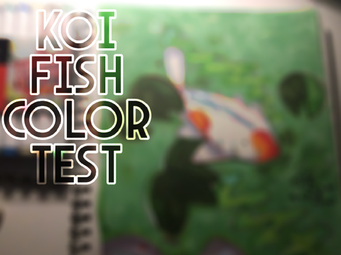 [COLOR TEST] Koi Fish 