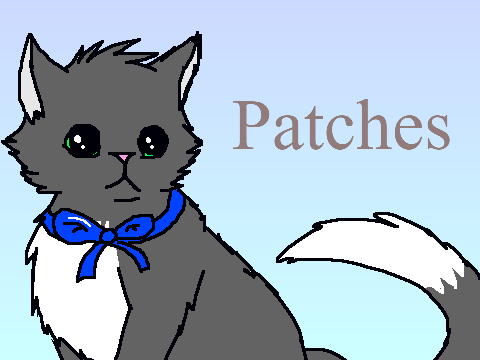 Kitten/Cat Creator V2! remix