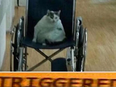 triggered