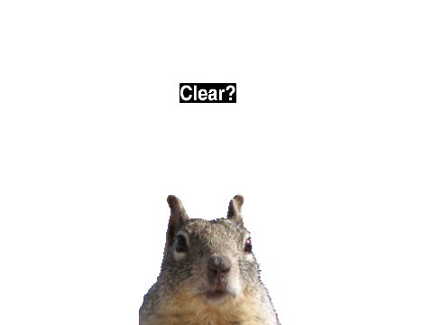 Squirrel FX