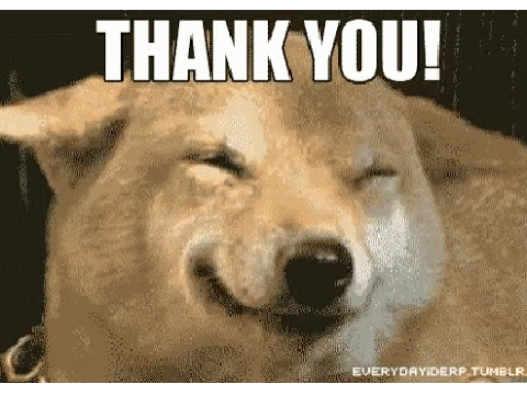 thank you dog