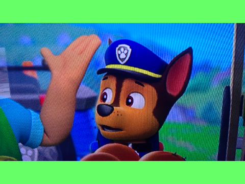 33 random questions and some are PAW Patrol related remix
