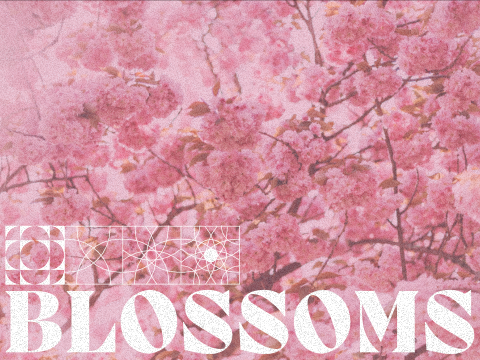 BLOSSOMS