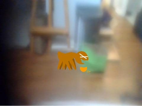 I gave Marmaleg an orange and took some photos.