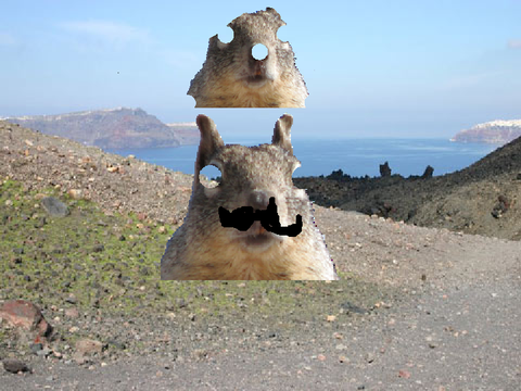 Squirrel Song! terrifying and funyy