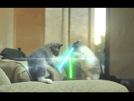 Cat Lightsaber Battle V10